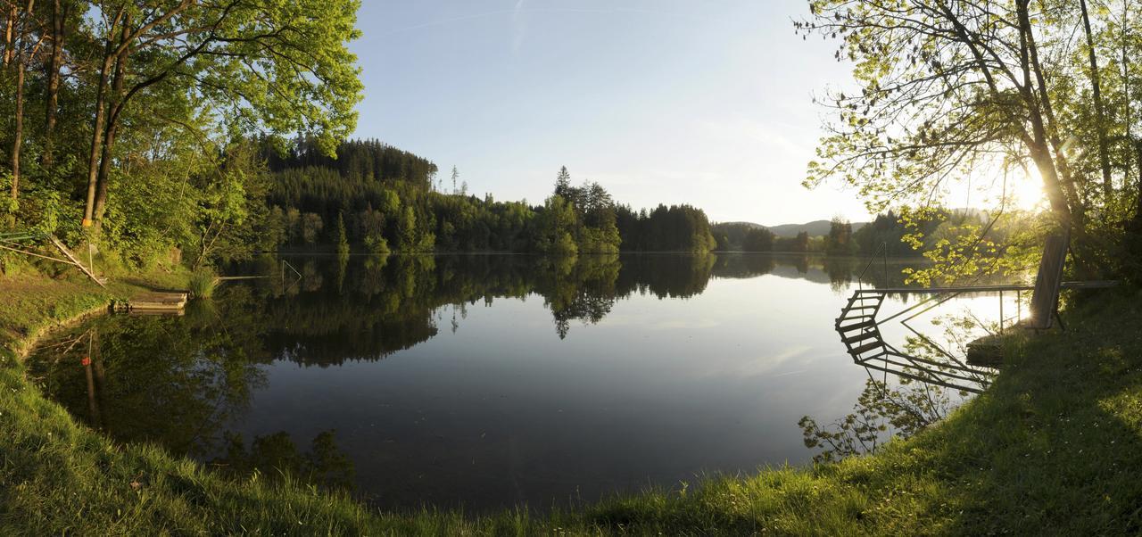 Pension Appartement Lanzer Moosburg Eksteriør billede